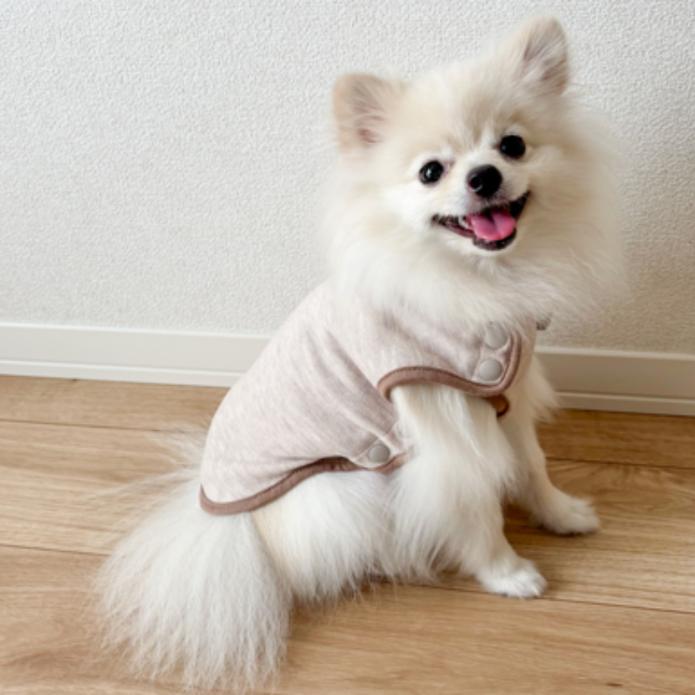 シニア犬の後ろ足が踏ん張れない…原因は？毎日できるケアと歩行サポート