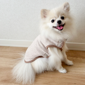 シニア犬の後ろ足が踏ん張れない…原因は？毎日できるケアと歩行サポート