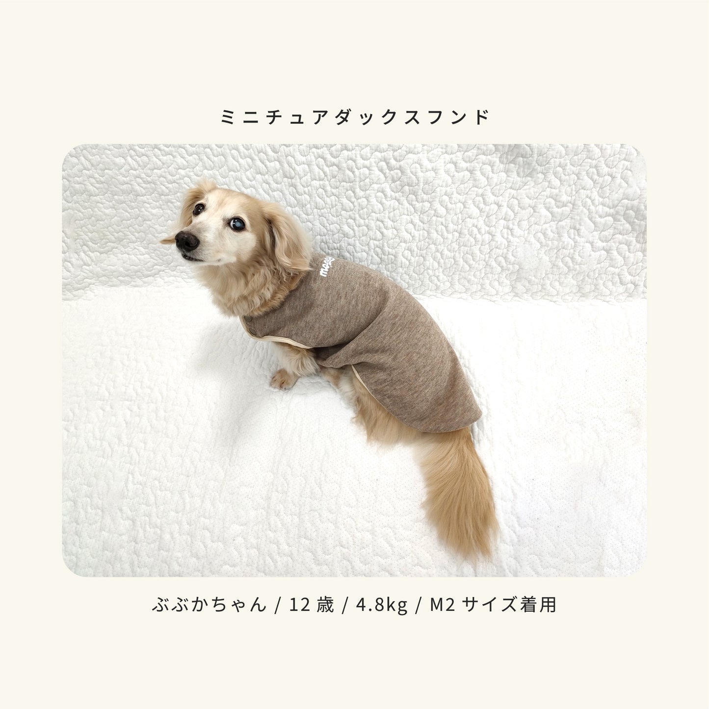 moocy(ムーシー) よりそいウェア ペット服 犬 服 シニア 介護 ケアウェア 老犬 グッズ リラックス ウェア チワワ トイプードル ポメラニアン ダックス 柴 小型犬 中型犬 オールシーズン