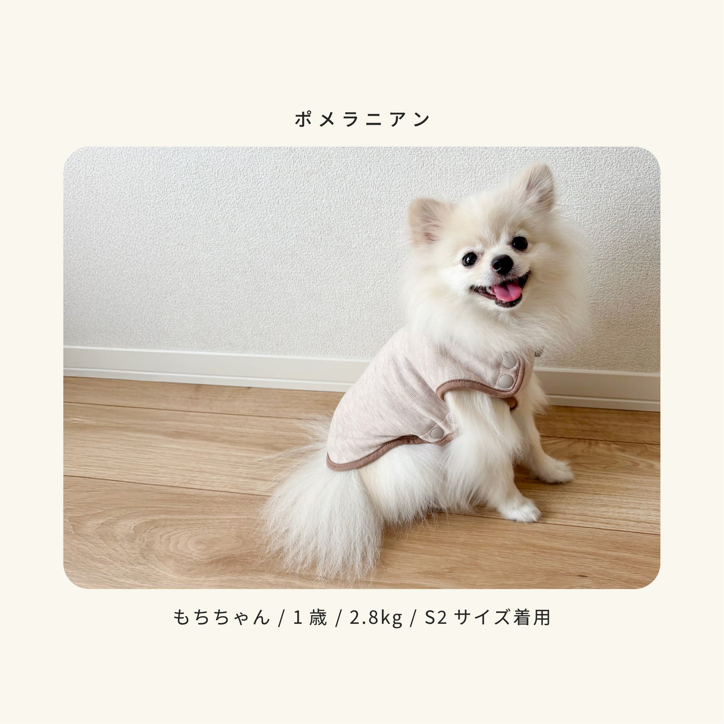 moocy(ムーシー) よりそいウェア ペット服 犬 服 シニア 介護 ケアウェア 老犬 グッズ リラックス ウェア チワワ トイプードル ポメラニアン ダックス 柴 小型犬 中型犬 オールシーズン