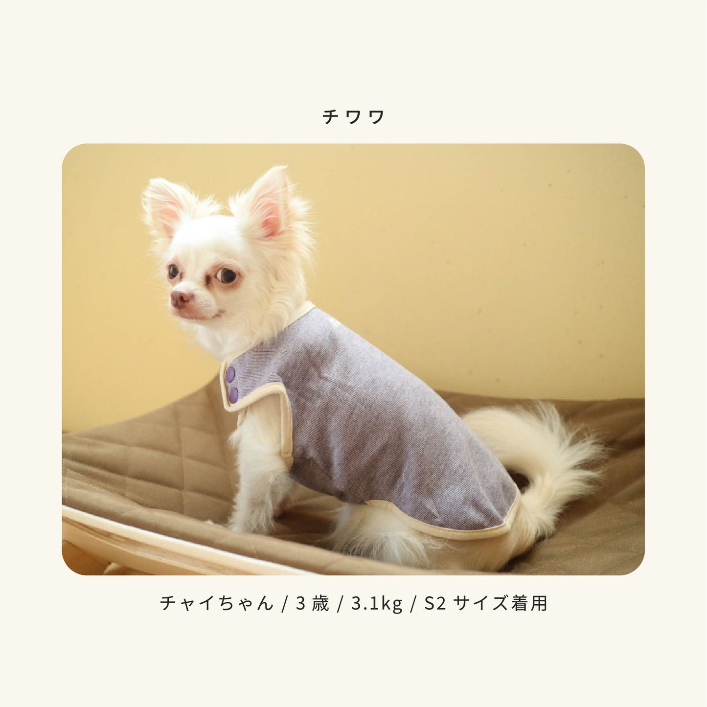 moocy(ムーシー) よりそいウェア ペット服 犬 服 シニア 介護 ケアウェア 老犬 グッズ リラックス ウェア チワワ トイプードル ポメラニアン ダックス 柴 小型犬 中型犬 オールシーズン