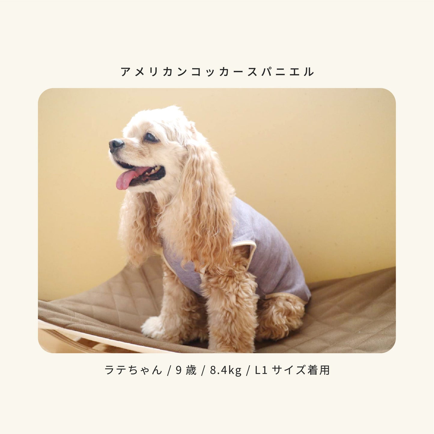 moocy(ムーシー) よりそいウェア ペット服 犬 服 シニア 介護 ケアウェア 老犬 グッズ リラックス ウェア チワワ トイプードル ポメラニアン ダックス 柴 小型犬 中型犬 オールシーズン