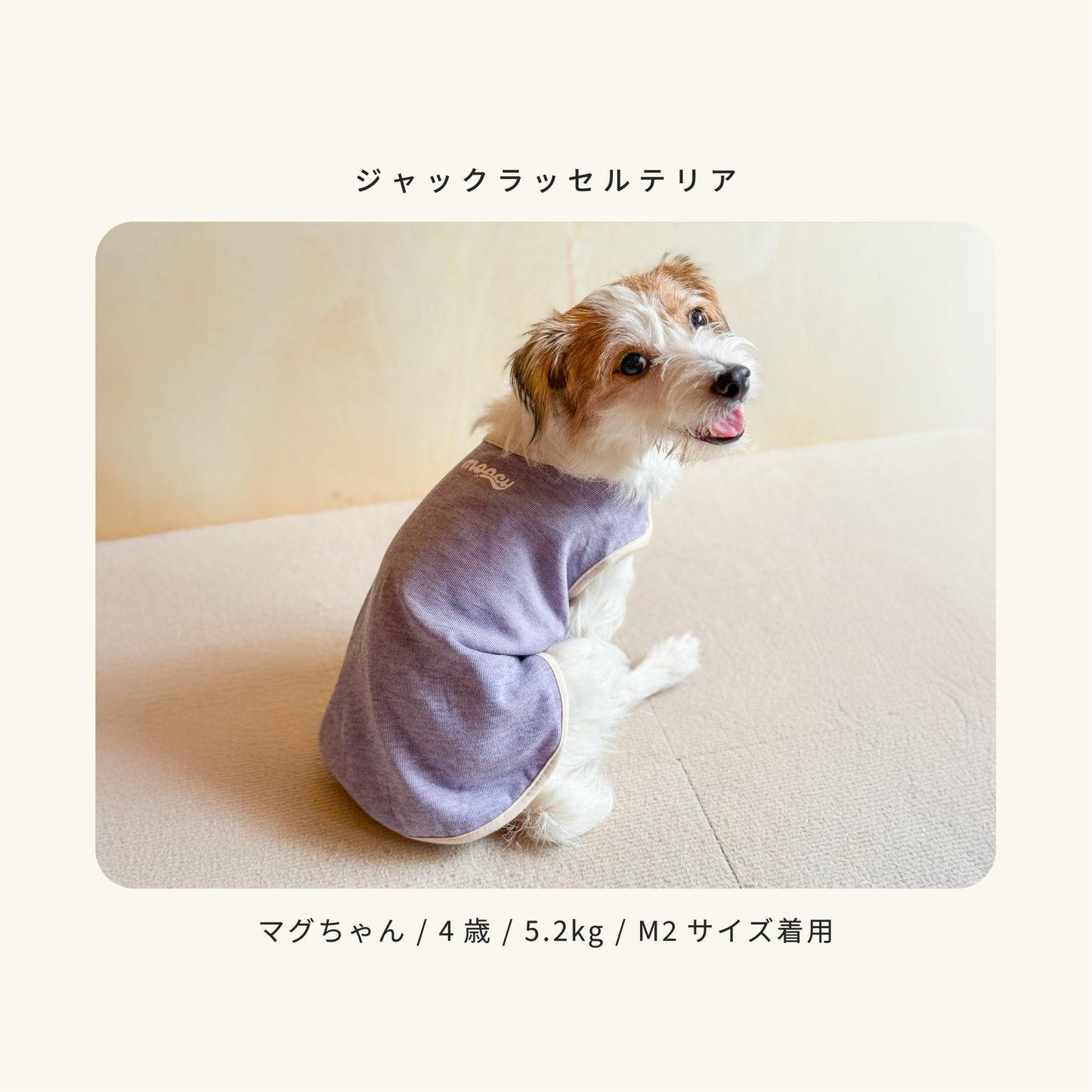 moocy(ムーシー) よりそいウェア ペット服 犬 服 シニア 介護 ケアウェア 老犬 グッズ リラックス ウェア チワワ トイプードル ポメラニアン ダックス 柴 小型犬 中型犬 オールシーズン