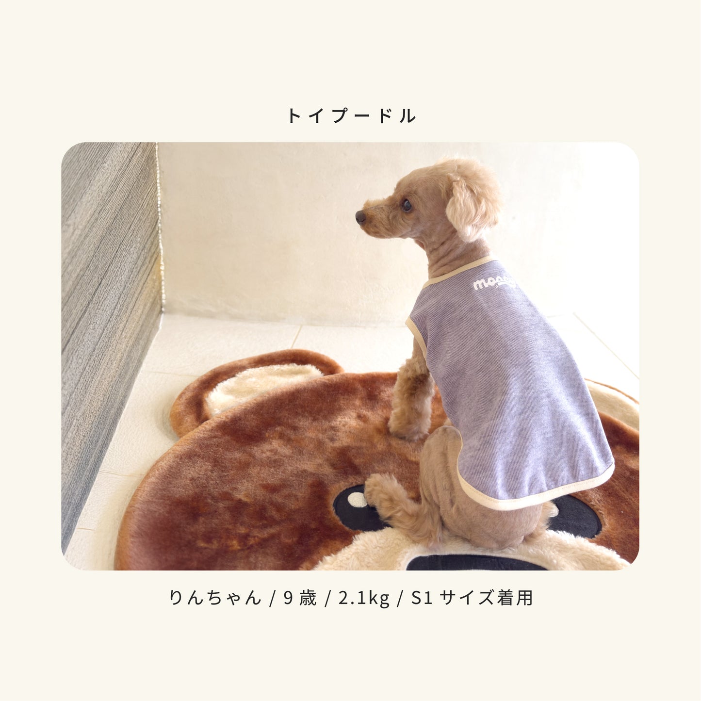 moocy(ムーシー) よりそいウェア ペット服 犬 服 シニア 介護 ケアウェア 老犬 グッズ リラックス ウェア チワワ トイプードル ポメラニアン ダックス 柴 小型犬 中型犬 オールシーズン