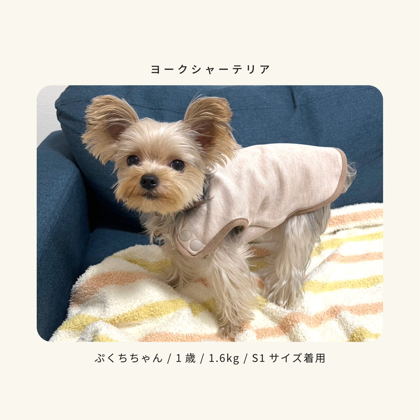 moocy(ムーシー) よりそいウェア ペット服 犬 服 シニア 介護 ケアウェア 老犬 グッズ リラックス ウェア チワワ トイプードル ポメラニアン ダックス 柴 小型犬 中型犬 オールシーズン