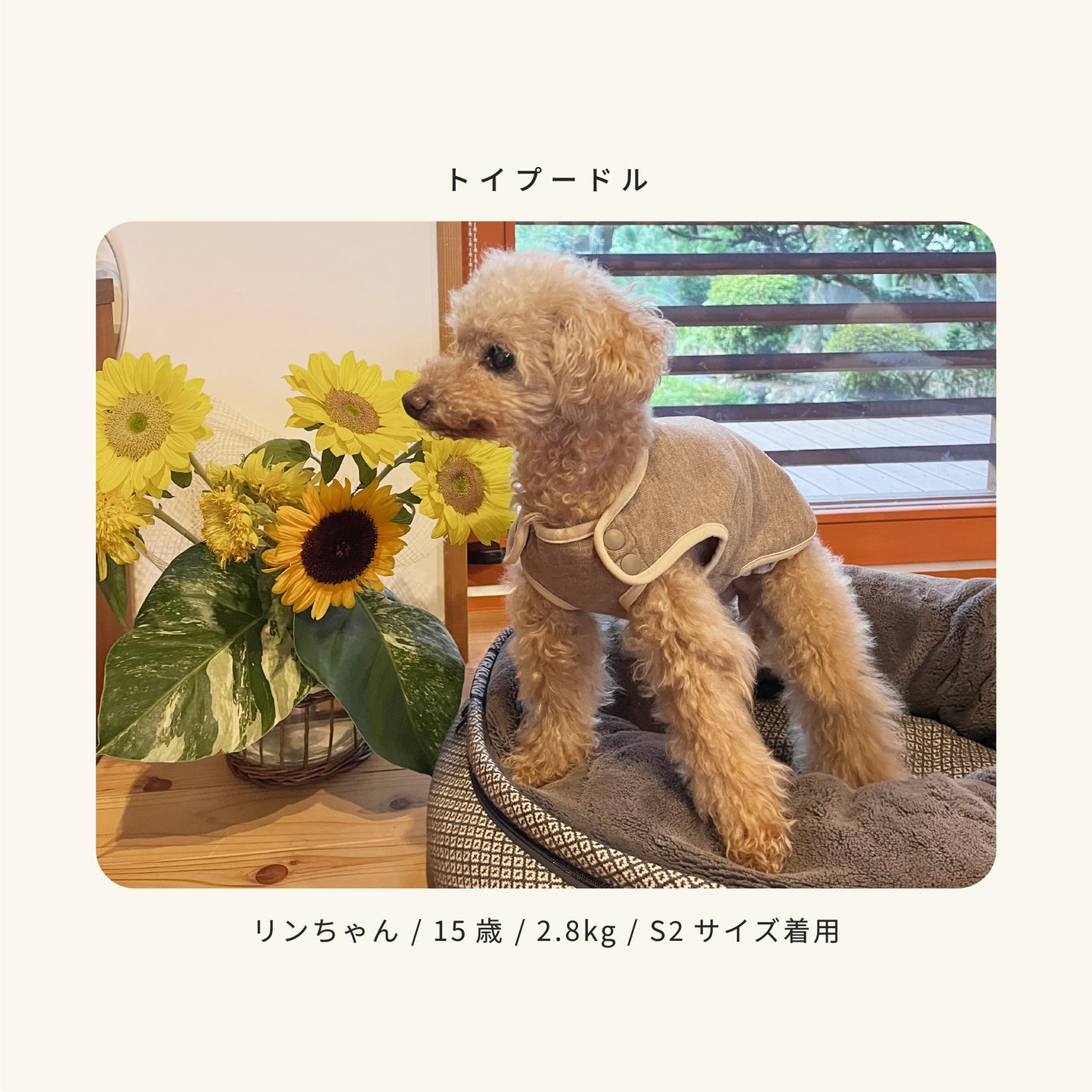 moocy(ムーシー) よりそいウェア ペット服 犬 服 シニア 介護 ケアウェア 老犬 グッズ リラックス ウェア チワワ トイプードル ポメラニアン ダックス 柴 小型犬 中型犬 オールシーズン