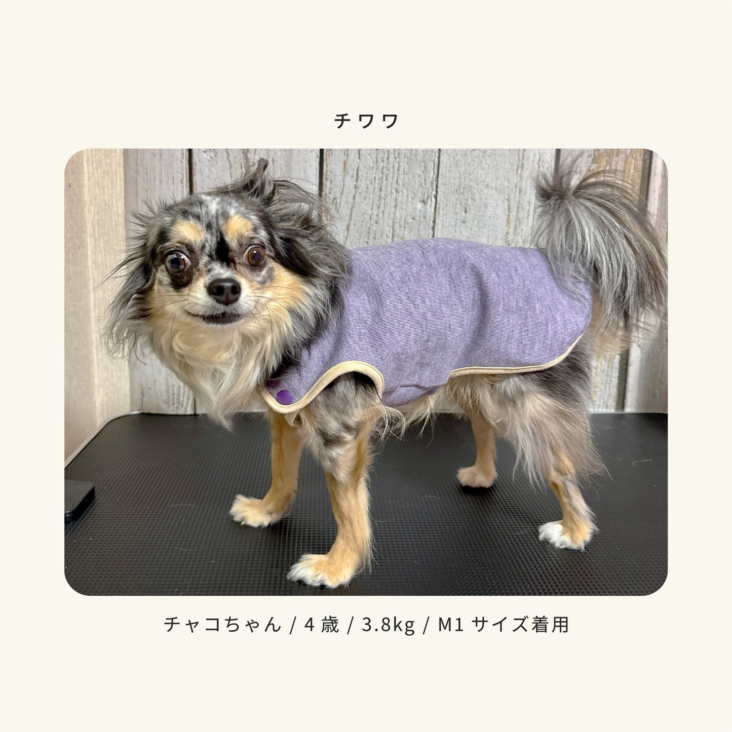 moocy(ムーシー) よりそいウェア ペット服 犬 服 シニア 介護 ケアウェア 老犬 グッズ リラックス ウェア チワワ トイプードル ポメラニアン ダックス 柴 小型犬 中型犬 オールシーズン