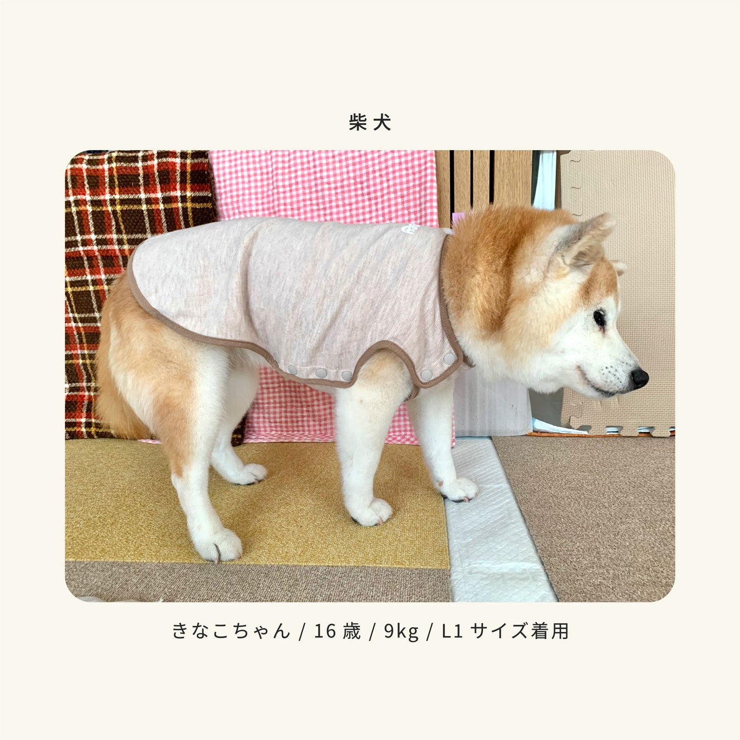 moocy(ムーシー) よりそいウェア ペット服 犬 服 シニア 介護 ケアウェア 老犬 グッズ リラックス ウェア チワワ トイプードル ポメラニアン ダックス 柴 小型犬 中型犬 オールシーズン