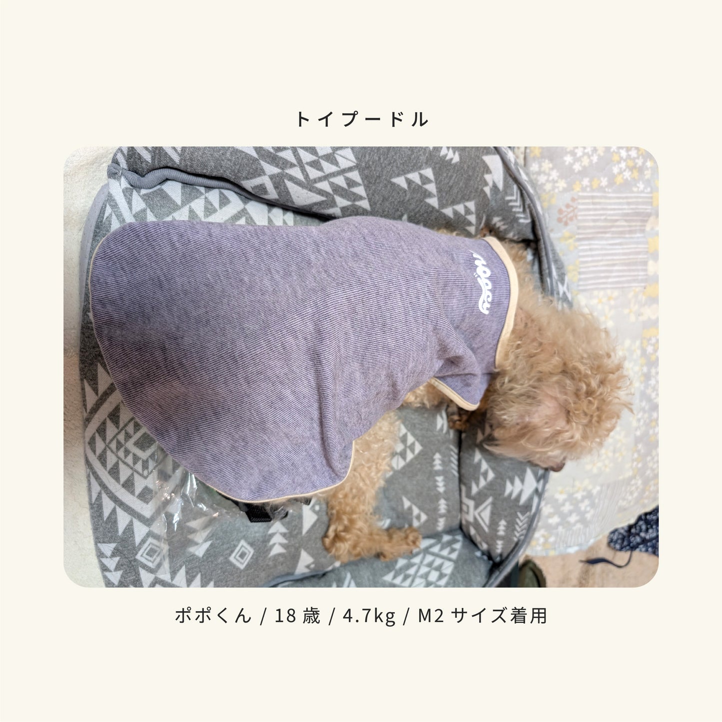 moocy(ムーシー) よりそいウェア ペット服 犬 服 シニア 介護 ケアウェア 老犬 グッズ リラックス ウェア チワワ トイプードル ポメラニアン ダックス 柴 小型犬 中型犬 オールシーズン